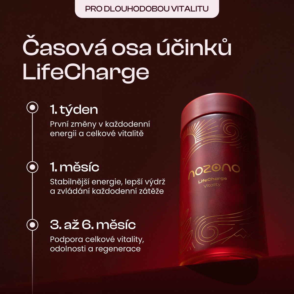 LifeCharge