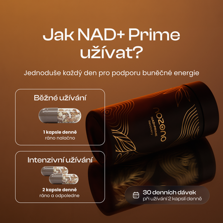 NAD+Prime