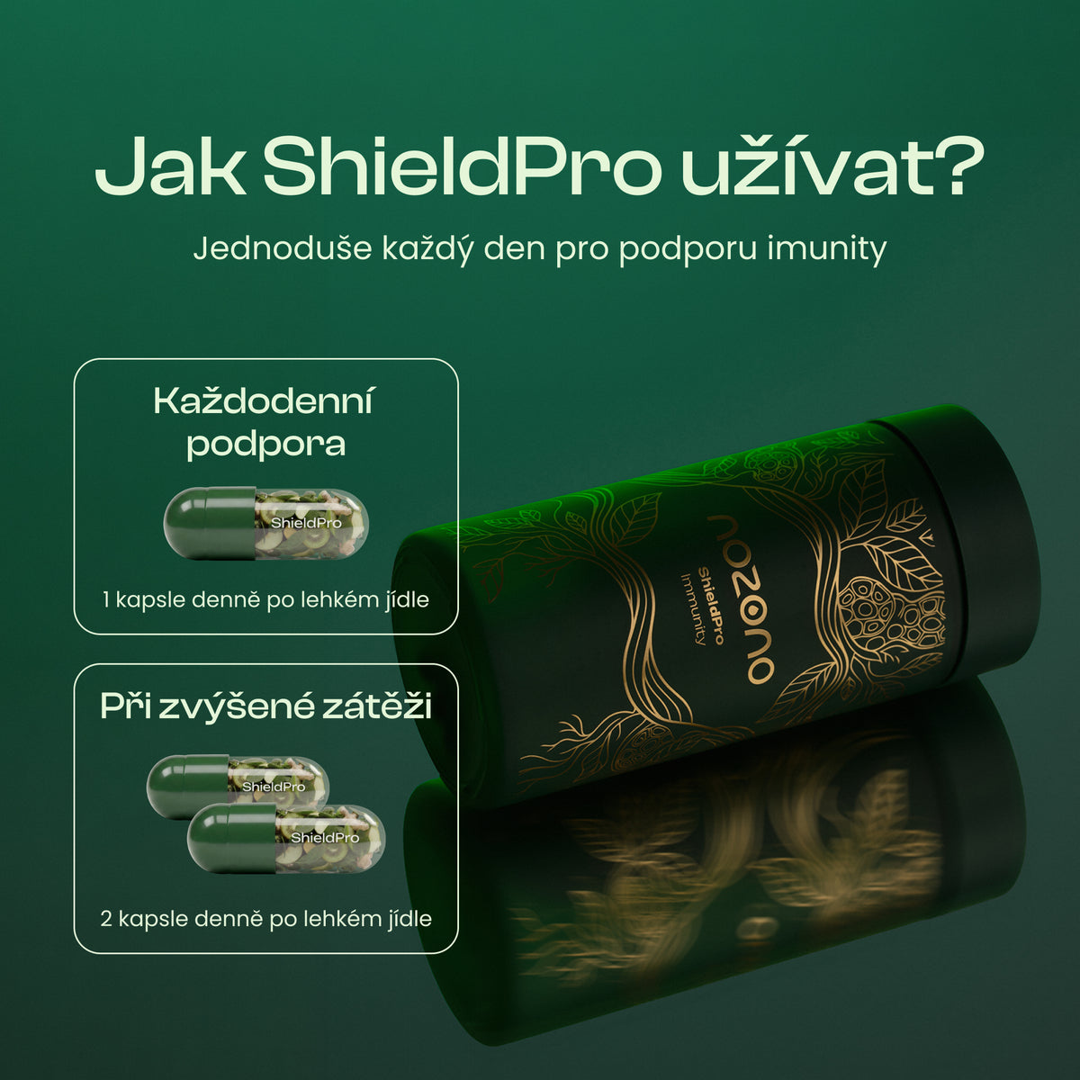 ShieldPro