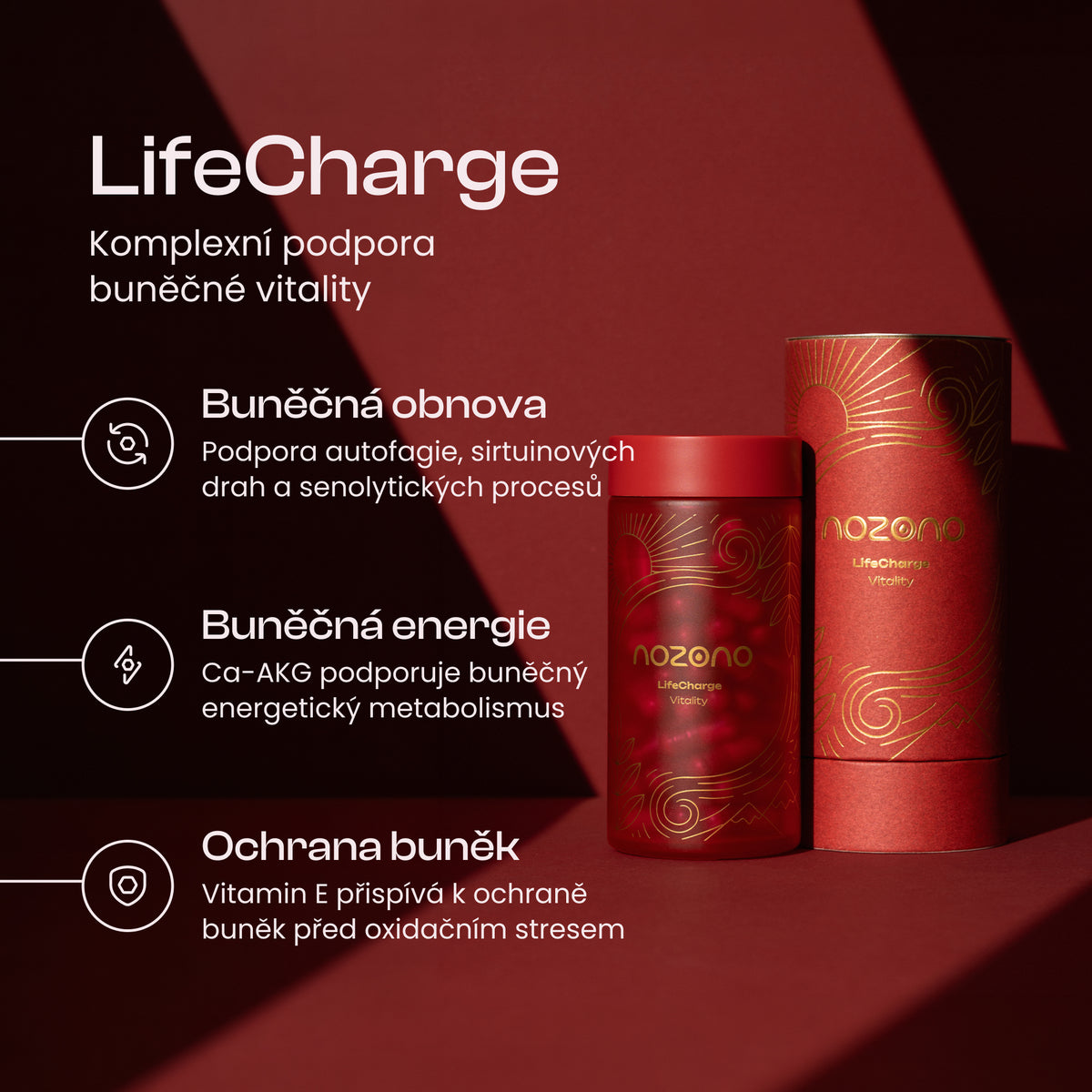 LifeCharge