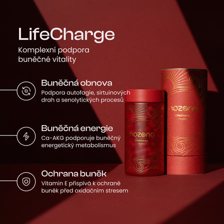 LifeCharge
