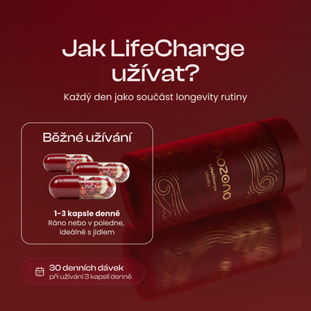LifeCharge