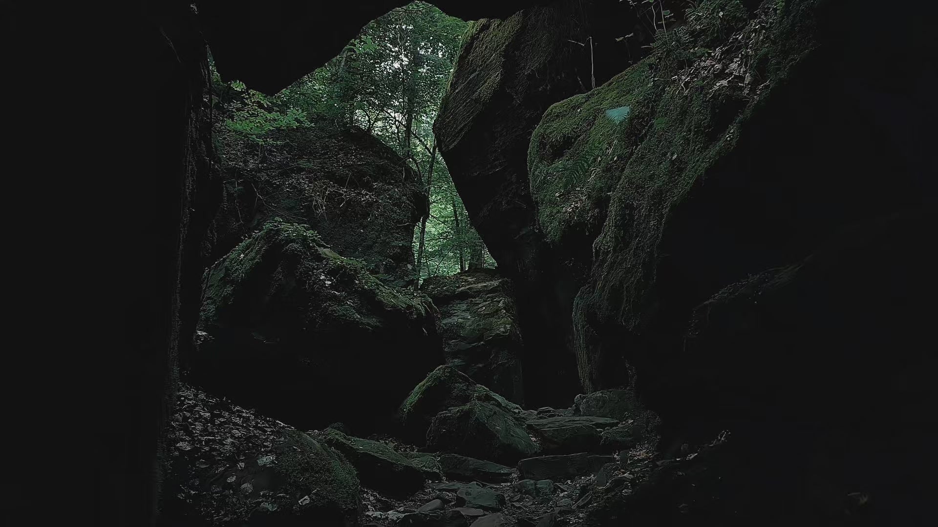 Načíst video: 